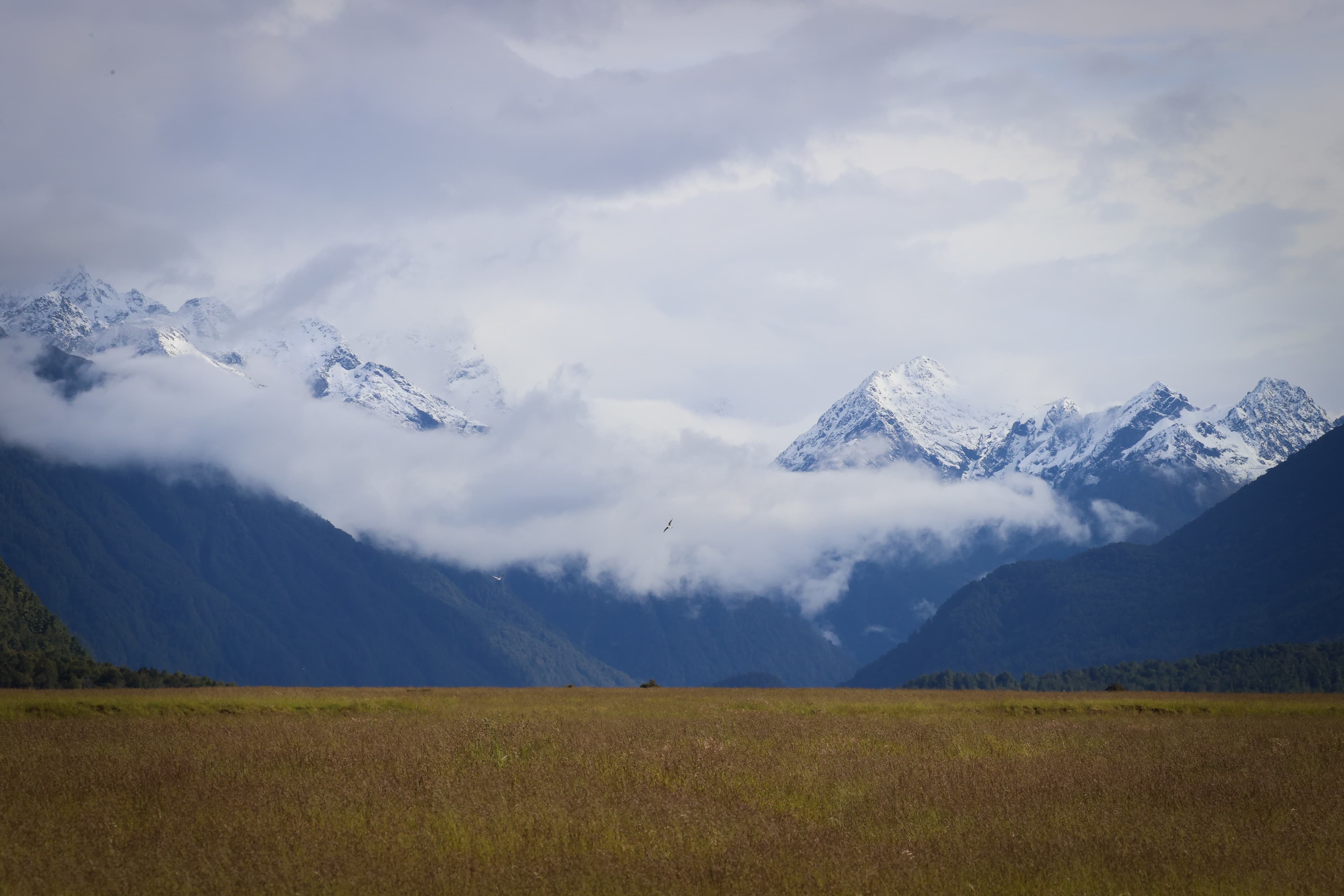 Rugged mountain peaks in New Zealand